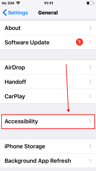 Open the Settings, tap General, then Accessibility